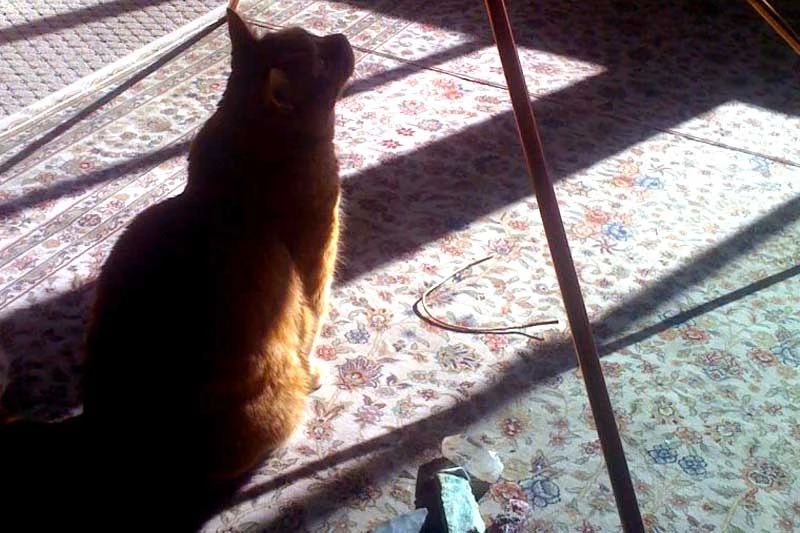 Copper Pyramid Power